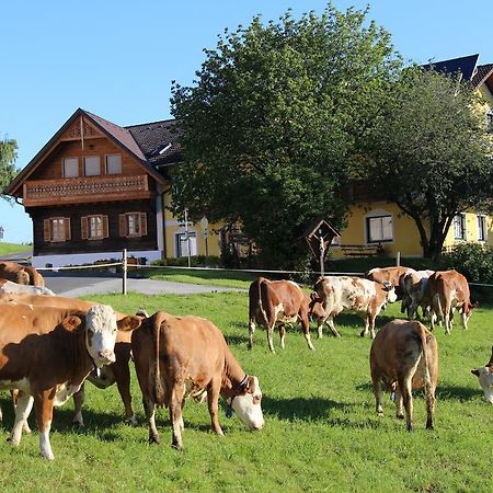 Wiesenbauer - Schlogl Anton Villa Grafendorf bei Hartberg Eksteriør bilde
